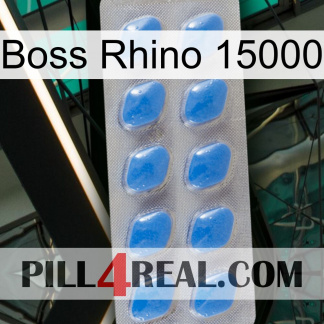 Boss Rhino 15000 22